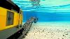 Lego Train Under Water